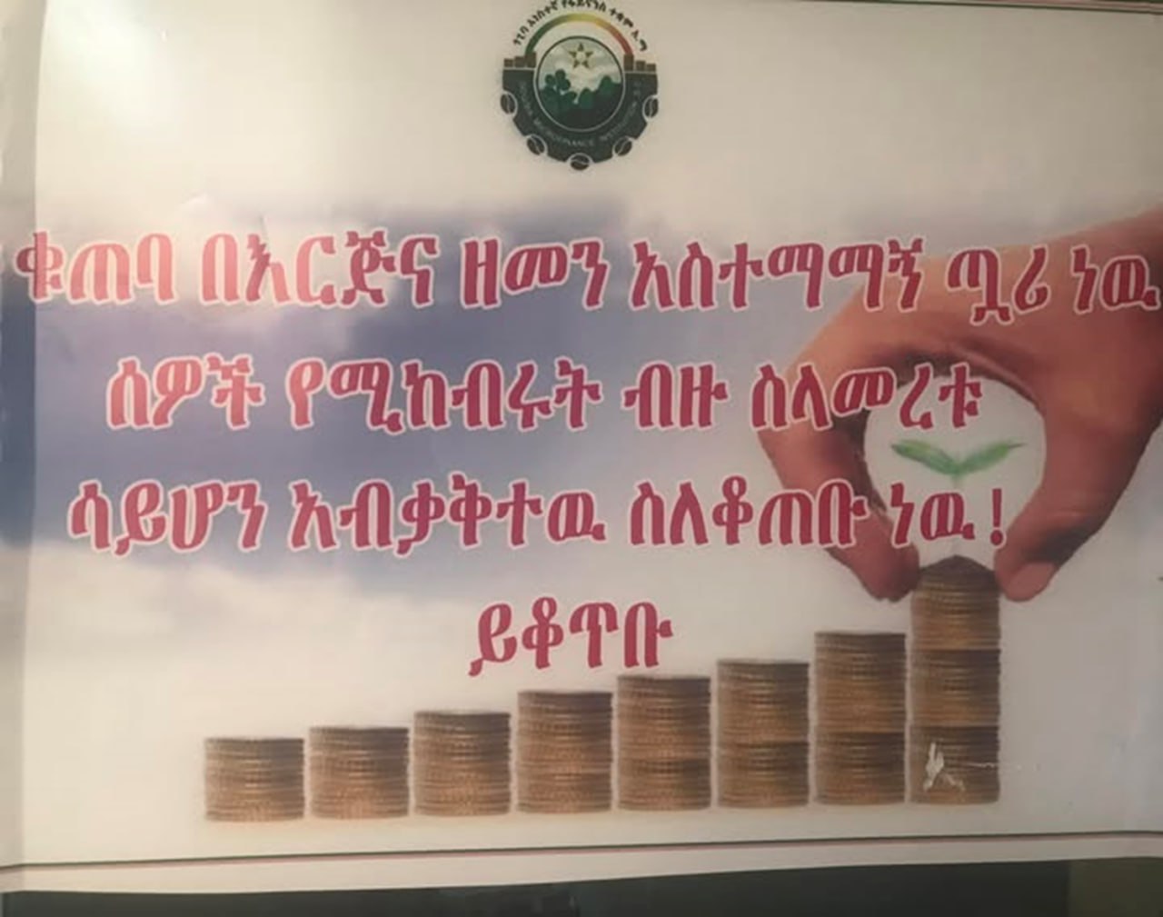 ጎጊባ አነ/የፋይ/ተቋም አ.ማ