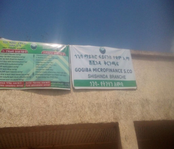shashendi branch